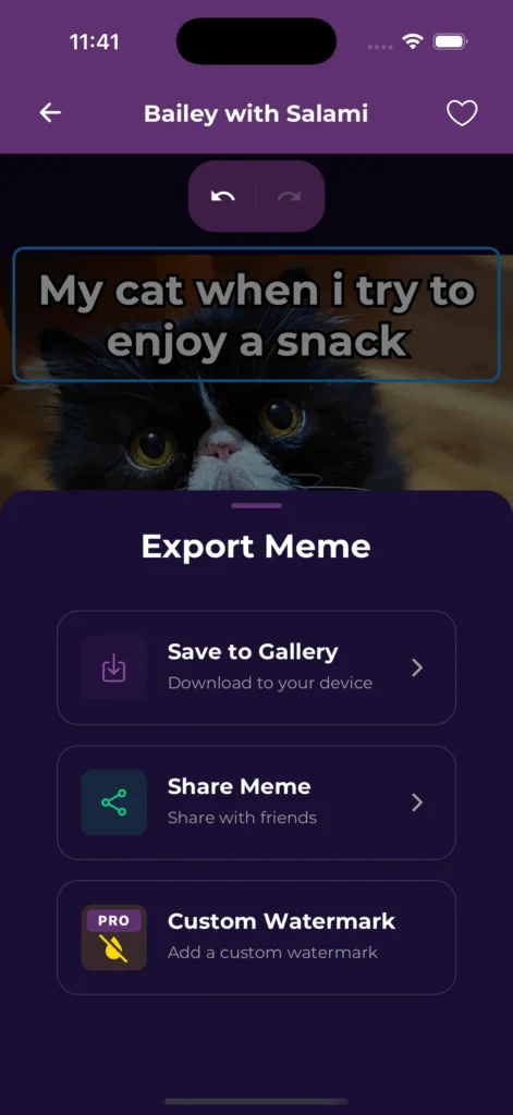 MemeFast share screen showing options to save a meme to camera roll and share directly to Instagram, TikTok and Reddit